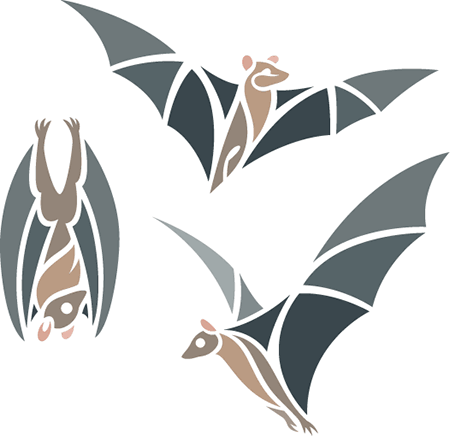 bats