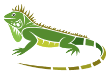Iguana