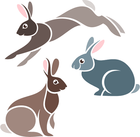 rabbits